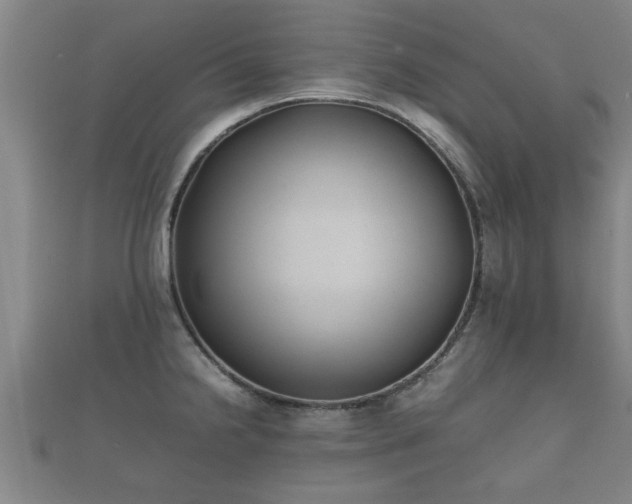 X0000112401238200908211108