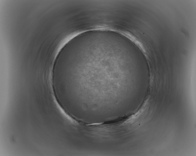 X0000112401239200908211108