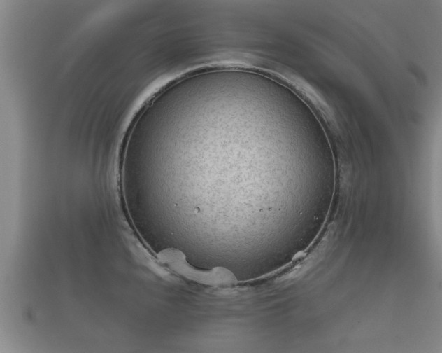 X0000112401240200908211108