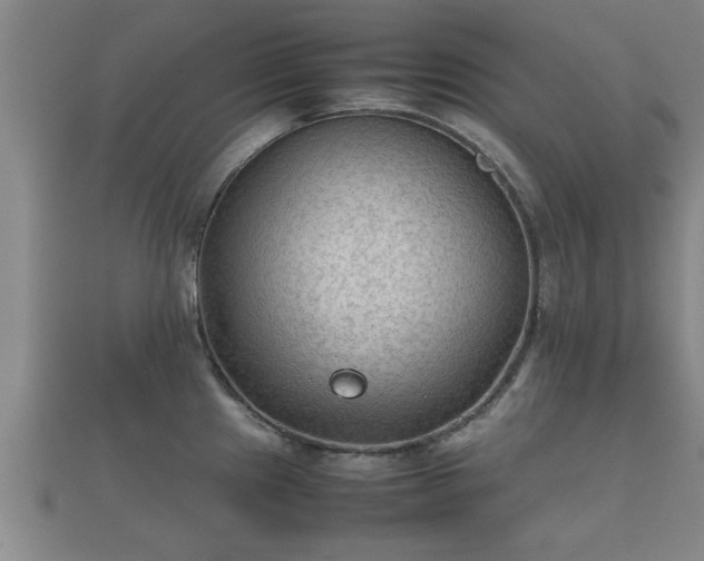 X0000112401241200908211108
