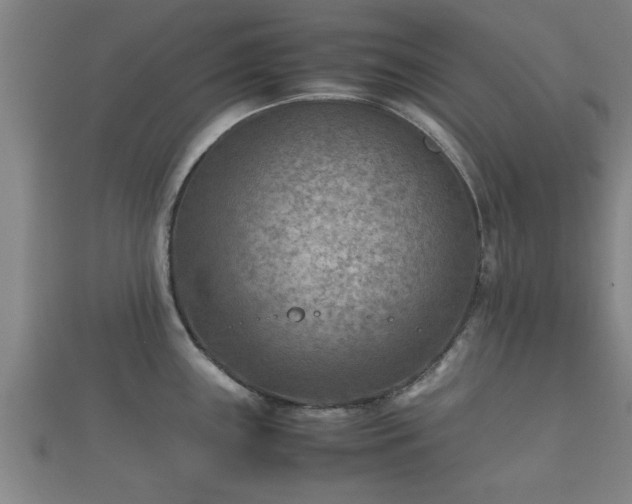 X0000112401243200908211108
