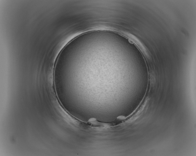 X0000112401244200908211108