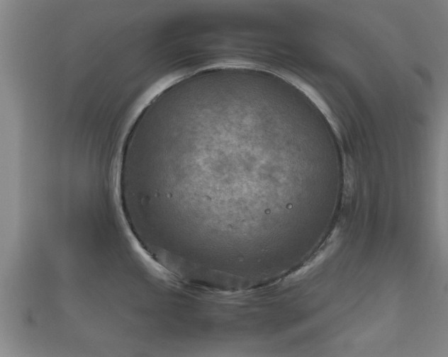 X0000112401245200908211108