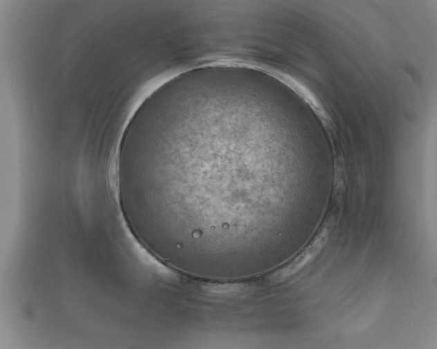 X0000112401247200908211108