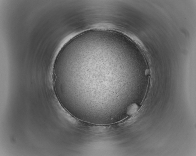 X0000112401248200908211108
