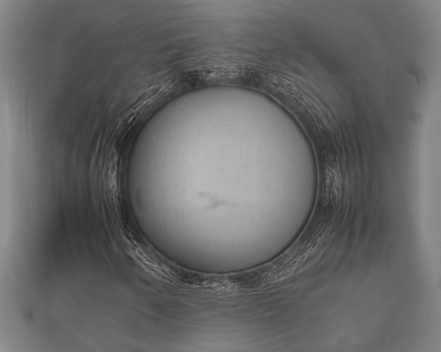 X0000112401250200908211108
