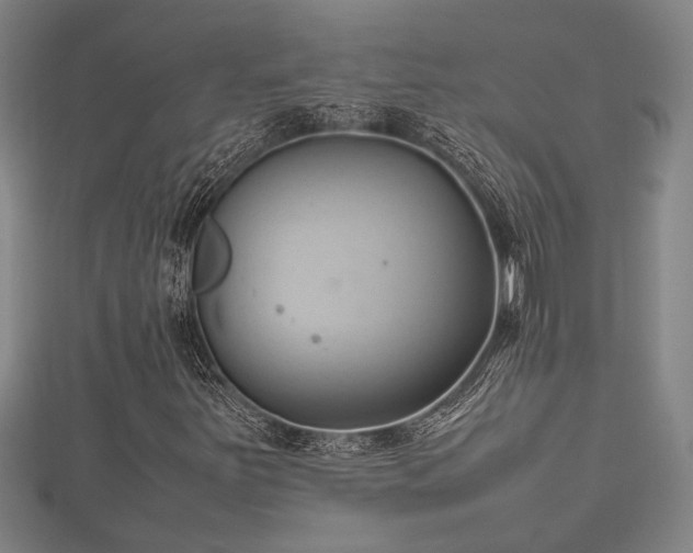 X0000112401251200908211108