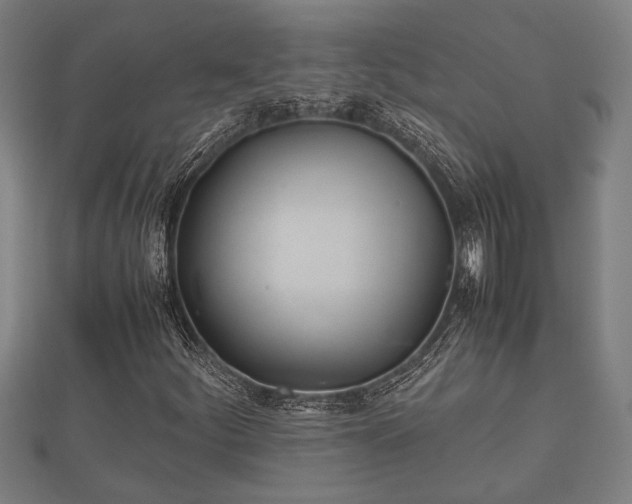 X0000112401252200908211108