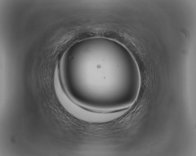 X0000112401253200908211108
