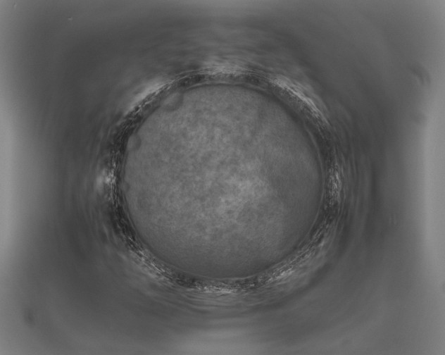 X0000112401254200908211108