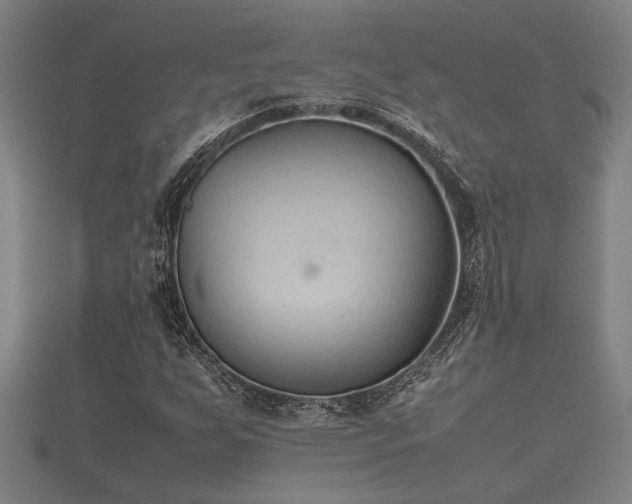 X0000112401255200908211107