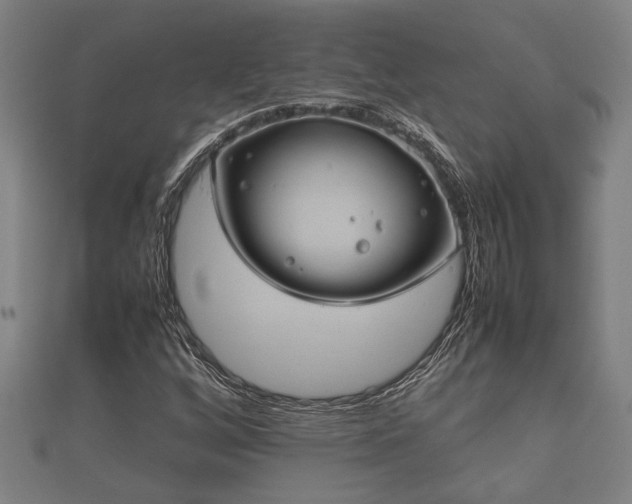X0000112401256200908211107