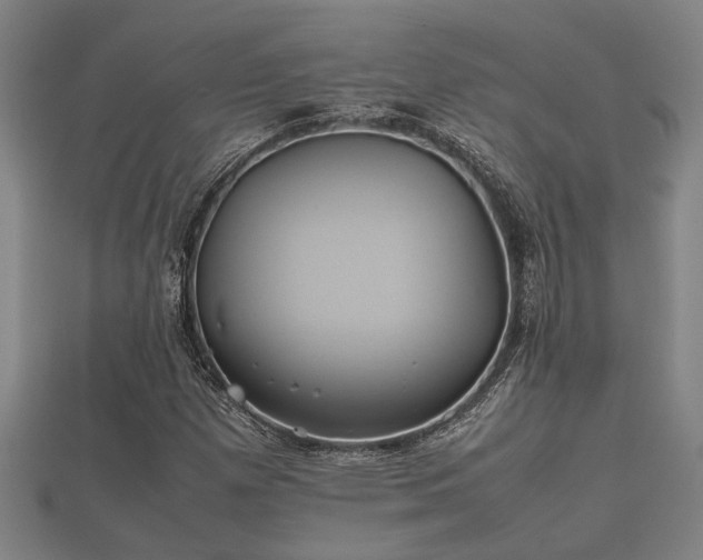 X0000112401257200908211107