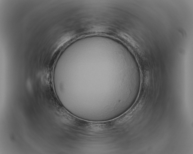 X0000112401258200908211107