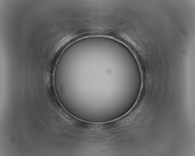 X0000112401259200908211107