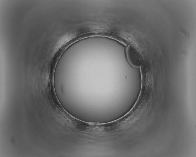 X0000112401261200908211107