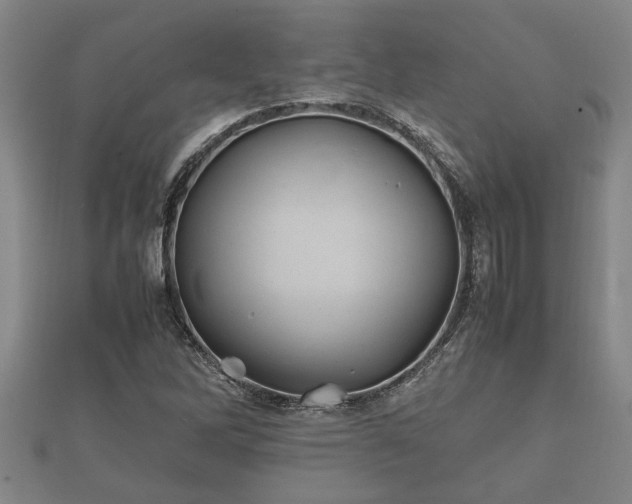 X0000112401262200908211107