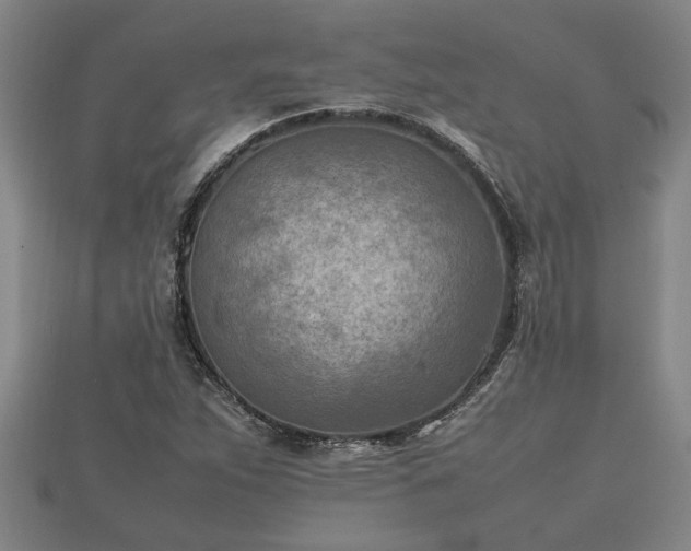 X0000112401263200908211107
