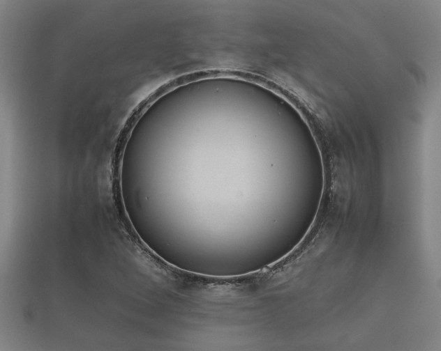 X0000112401264200908211107
