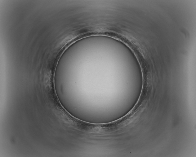 X0000112401265200908211107