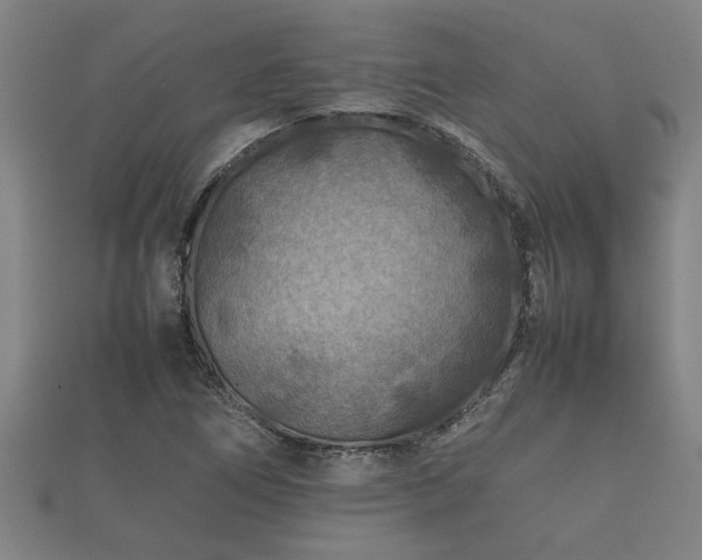 X0000112401266200908211107