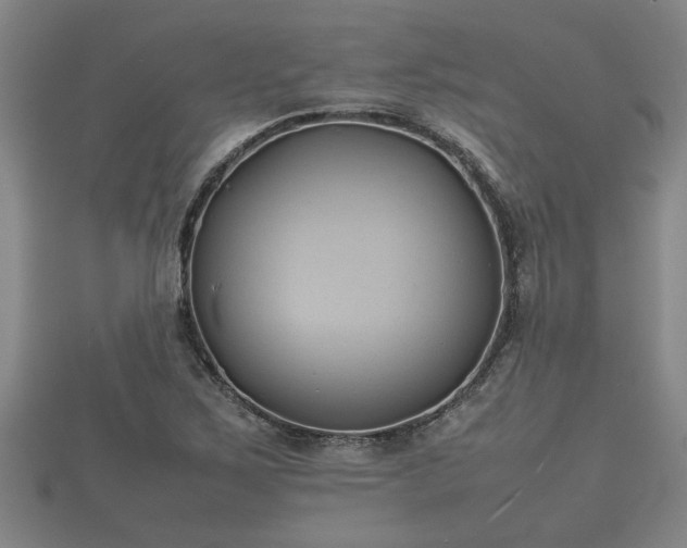 X0000112401267200908211107