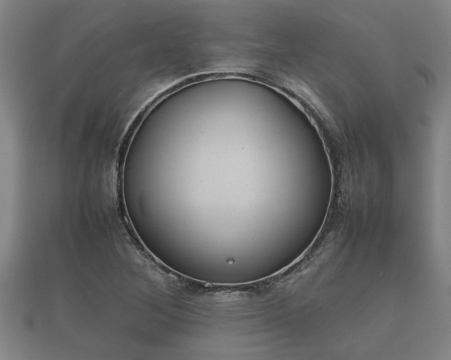 X0000112401268200908211107