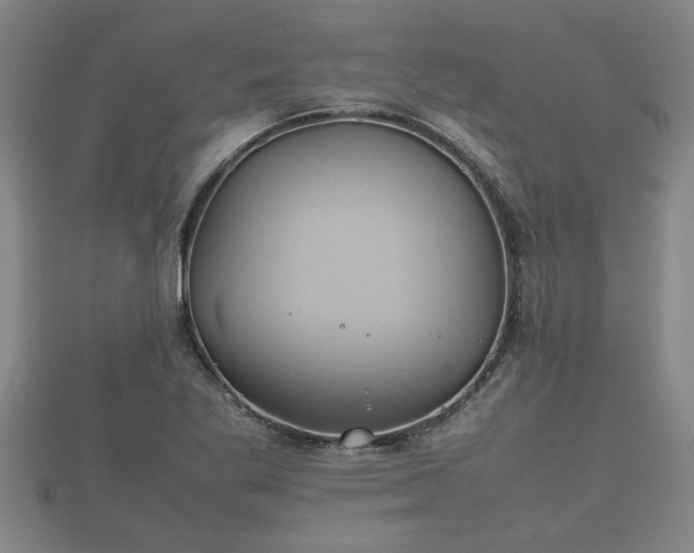 X0000112401269200908211107