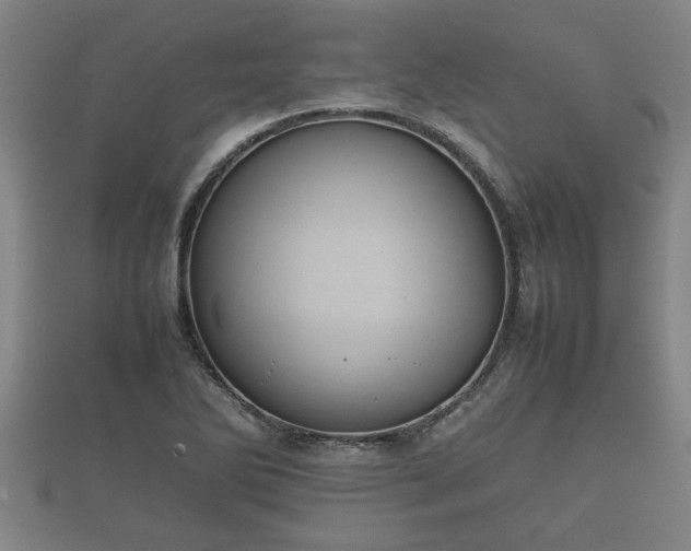 X0000112401270200908211107