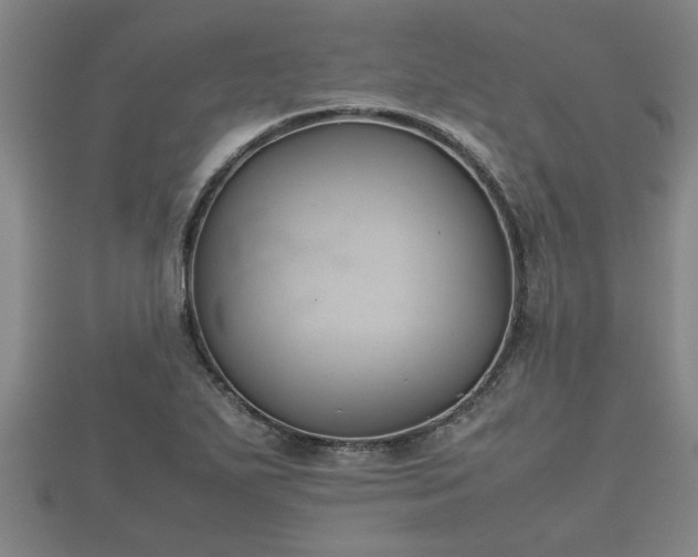 X0000112401271200908211107