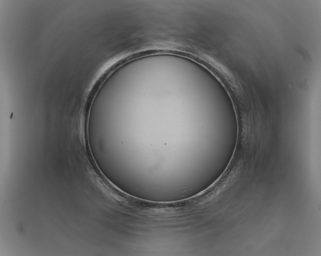 X0000112401272200908211107