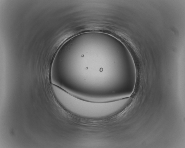 X0000112401273200908211107
