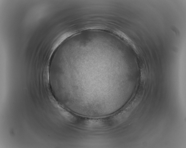 X0000112401274200908211107