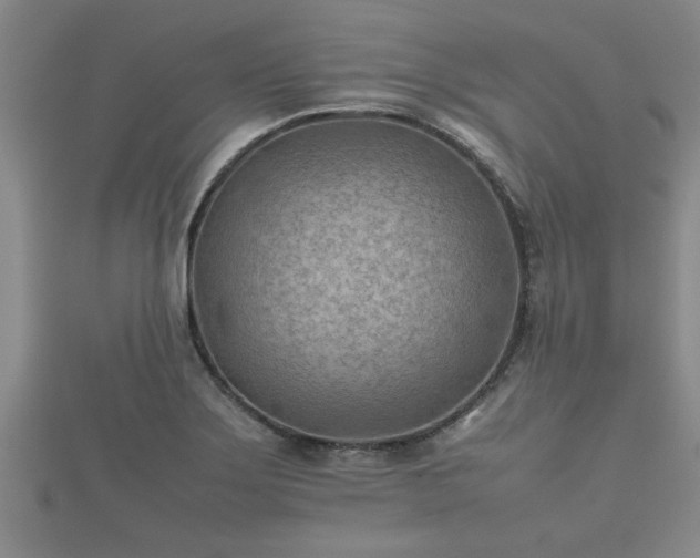 X0000112401275200908211107