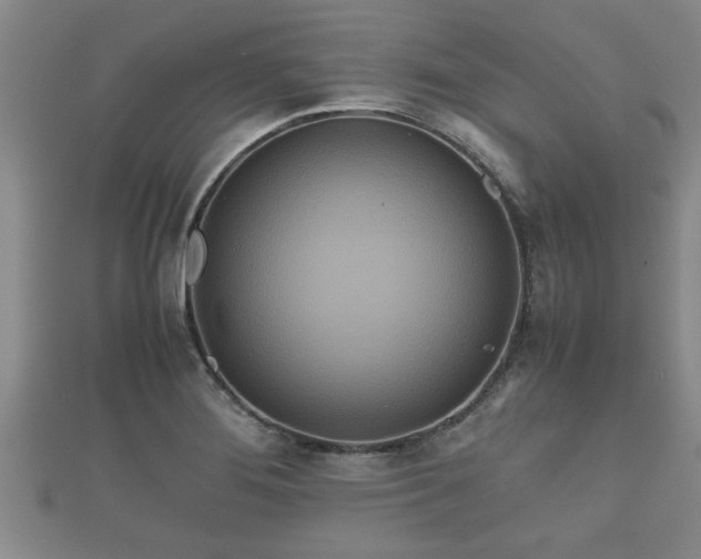 X0000112401276200908211107