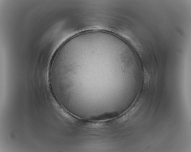 X0000112401278200908211107