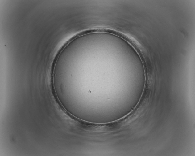 X0000112401279200908211107