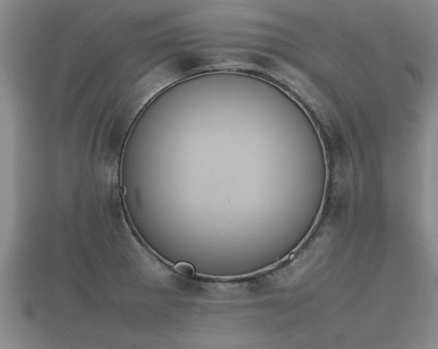 X0000112401281200908211107