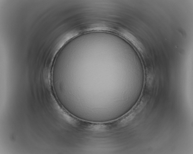 X0000112401282200908211107