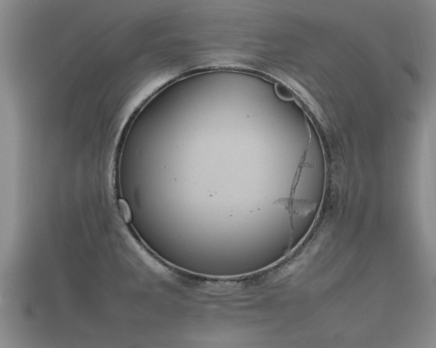 X0000112401285200908211107