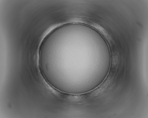 X0000112401286200908211107