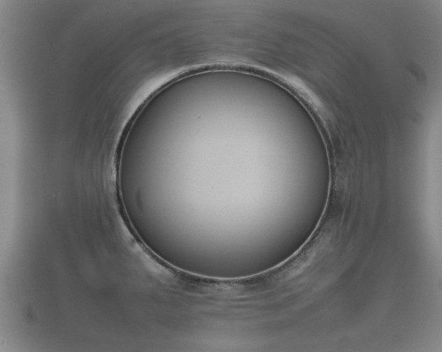 X0000112401287200908211107
