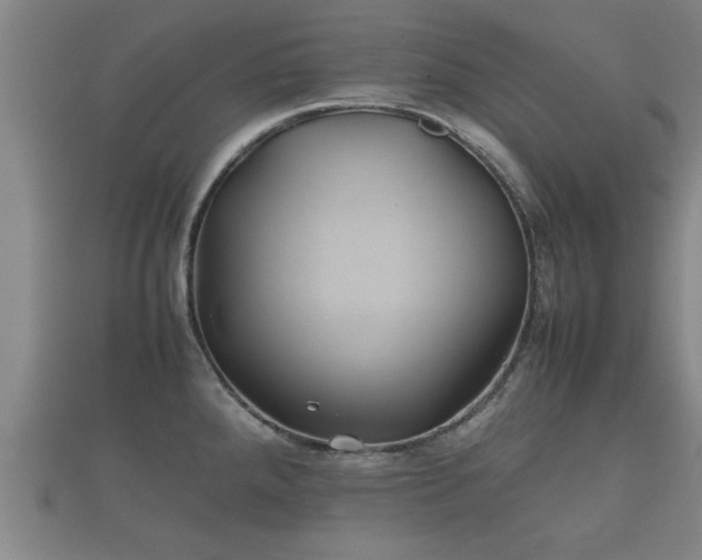 X0000112401288200908211107