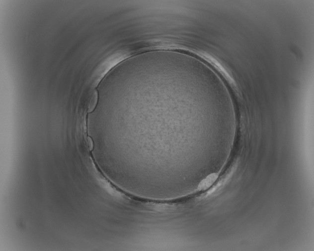 X0000112401289200908211107