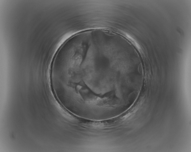 X0000112401291200908211107