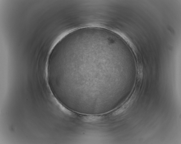 X0000112401294200908211107