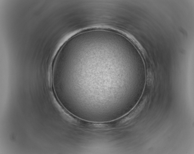 X0000112401295200908211107