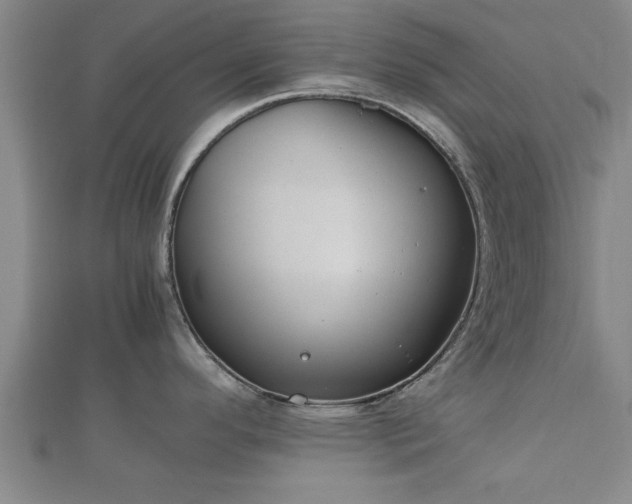 X0000112401296200908211107