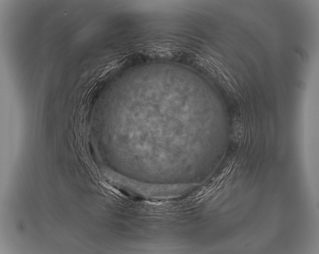 X0000112401297200908211106