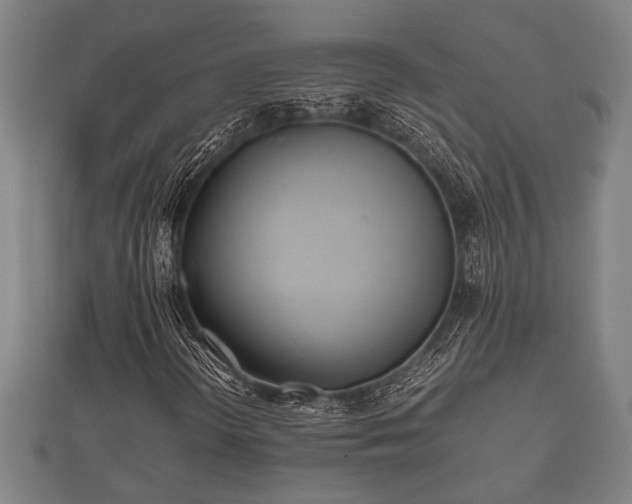 X0000112401298200908211106